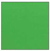 Leaf Green Colour Extra Wide Display Backing Paper - Click Image to Close